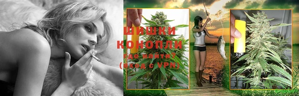 дурь Краснослободск