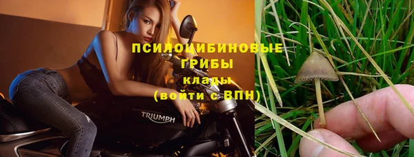 MESCALINE Куйбышев